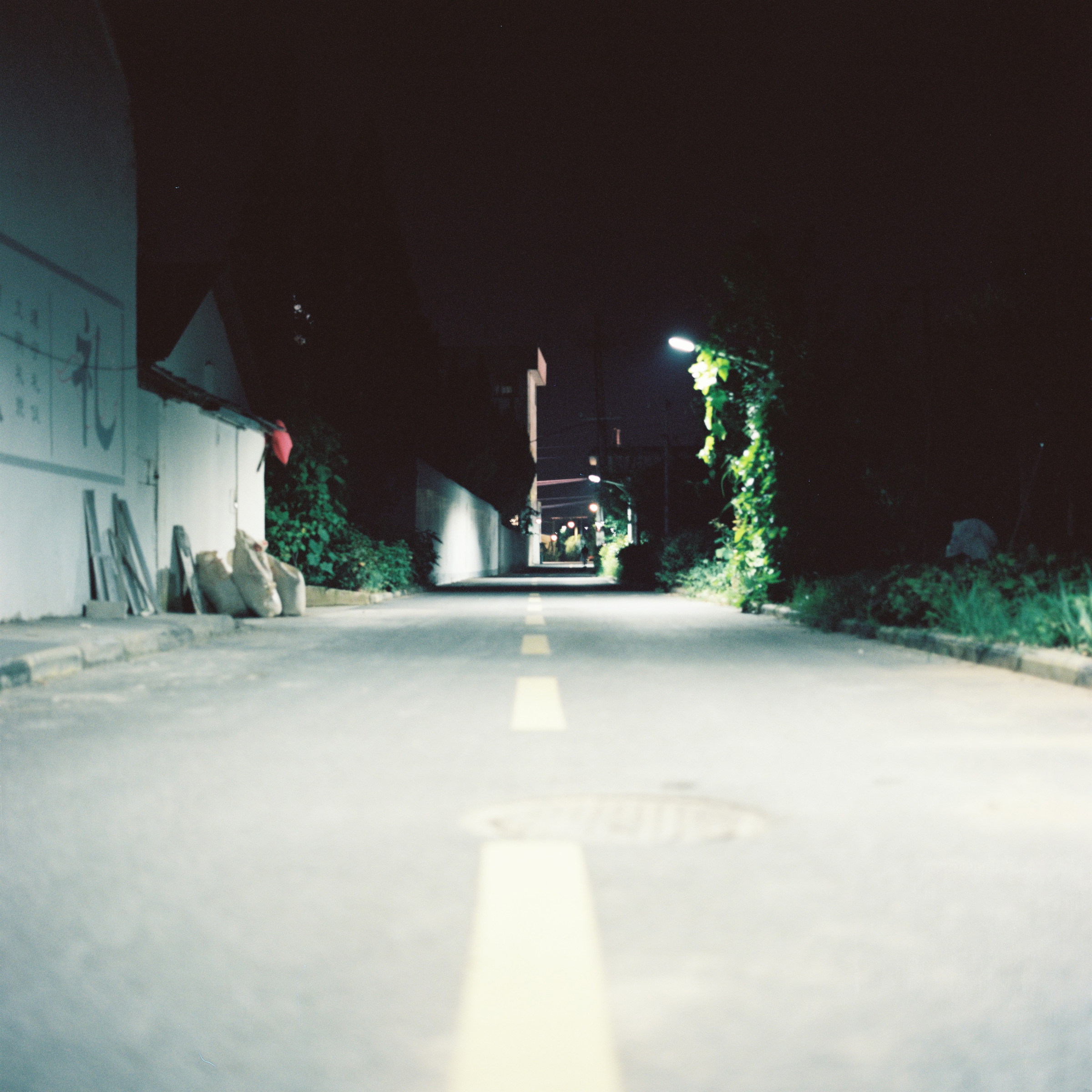 夜晚的窄路被一束灯光照亮，远处通向树影与房屋。