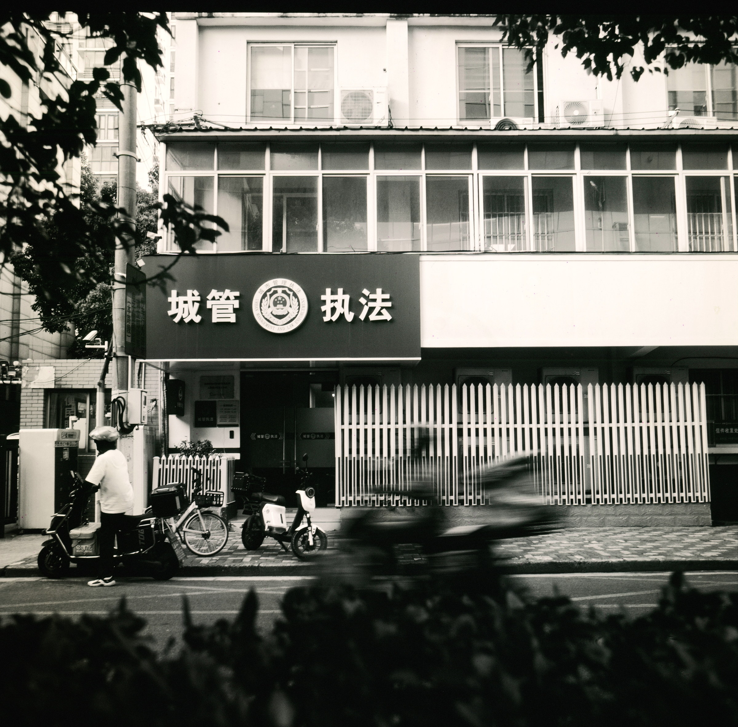 黑白画面里，白色楼面、树影与街边人群彼此叠合。
